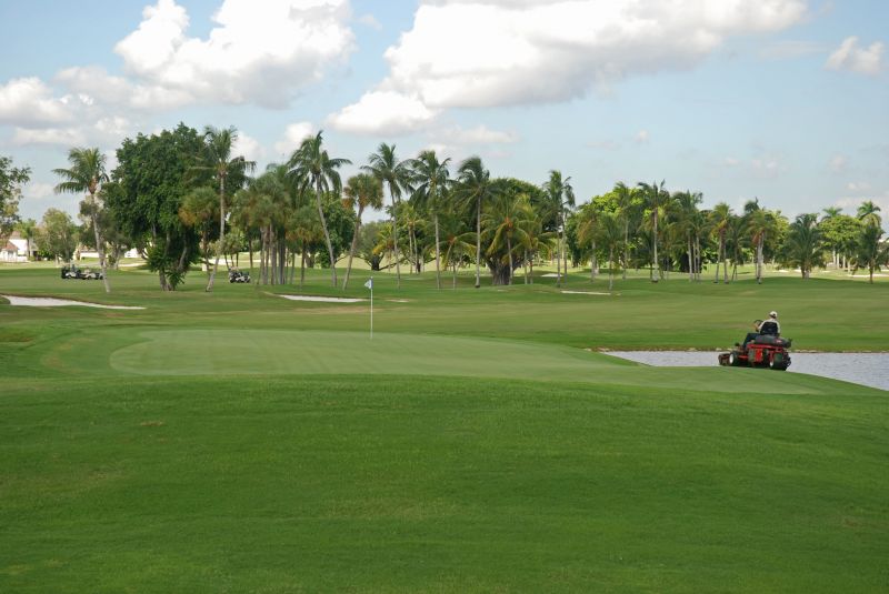 Lawn Care And Maintenance