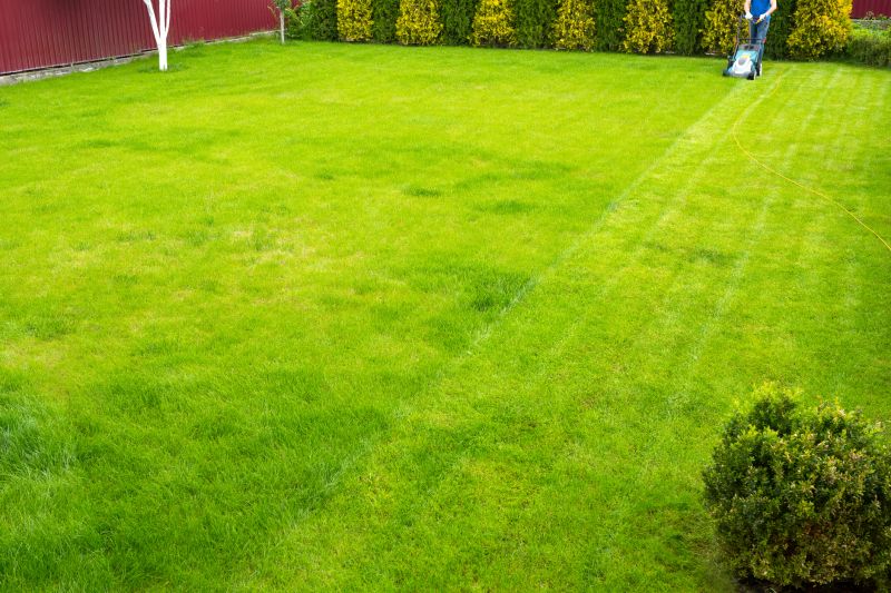 Healthy Lawn After Mowing
