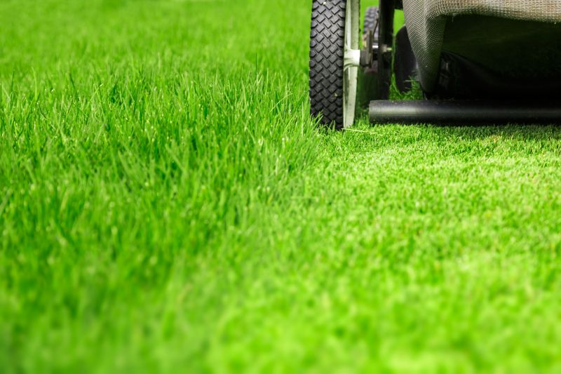 Close-up of Mowed Grass