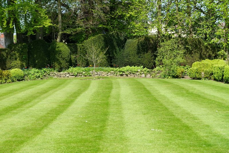 Healthy Lawn After Mowing