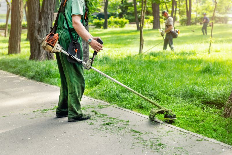 Local Lawn Care Companies