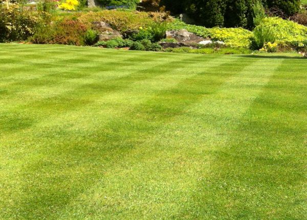 Commercial Grass Cutting in Acworth