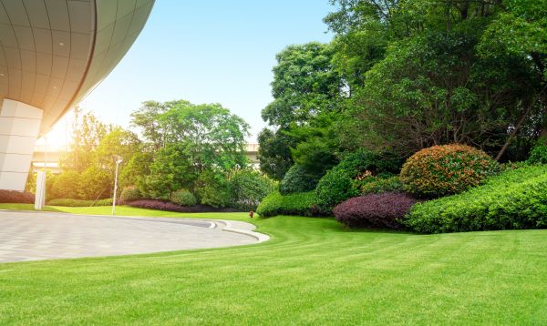 Commercial Lawn Care in Acworth