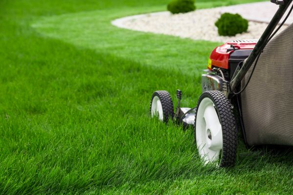 Lawn Cutting Service in Acworth