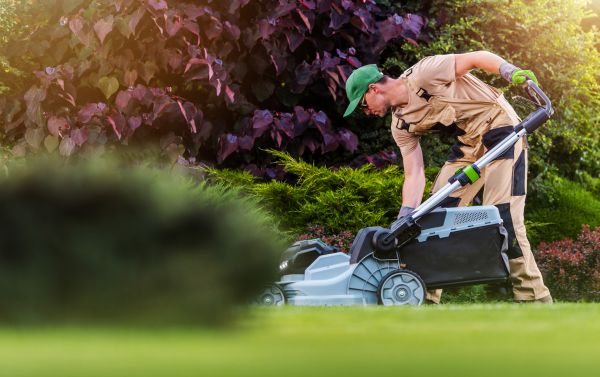 Yard Care Service in Acworth