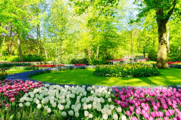 Spring Lawn Care in Acworth