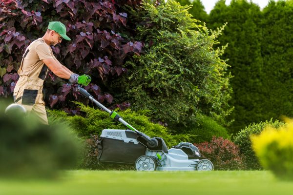 Lawn Management in Acworth