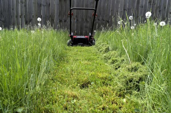 Cost of High Grass Mowing in Acworth