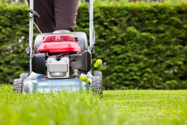 Grass Trimming Service in Acworth