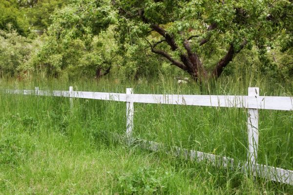 Fence Line Trimming in Acworth