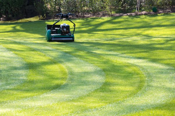 Business Lawn Mowing in Acworth