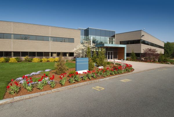 Commercial Groundskeeping in Acworth