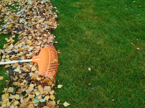 Fall Lawn Care in Acworth