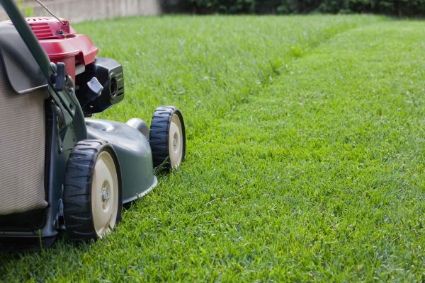 Spring Lawn Maintenance in Acworth